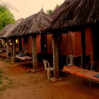 The Gopi Island Guesthouse, Hampi 3
